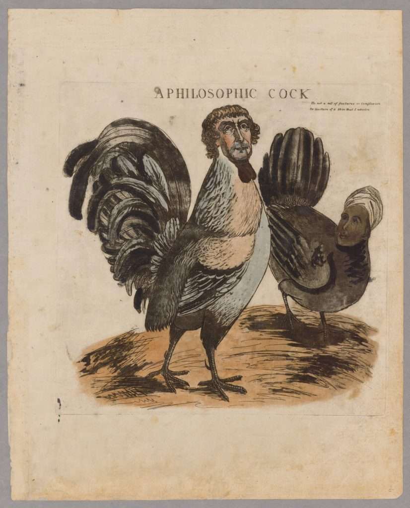 <em>A Philosophic Cock</em>